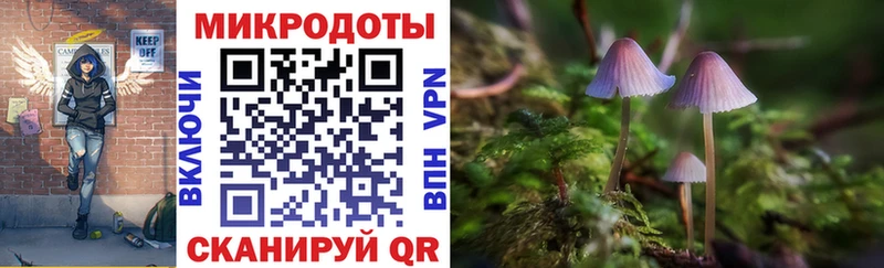 как найти закладки Стрежевой Псилоцибиновые грибы Cubensis